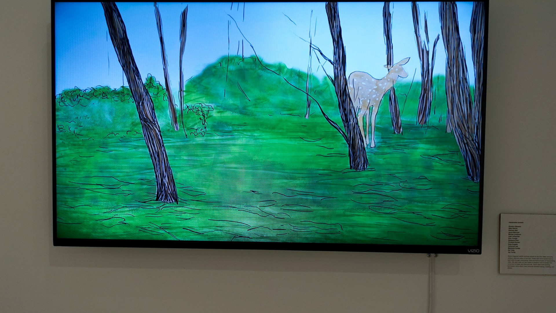Interpolated Animals, by the Moving Image Art class